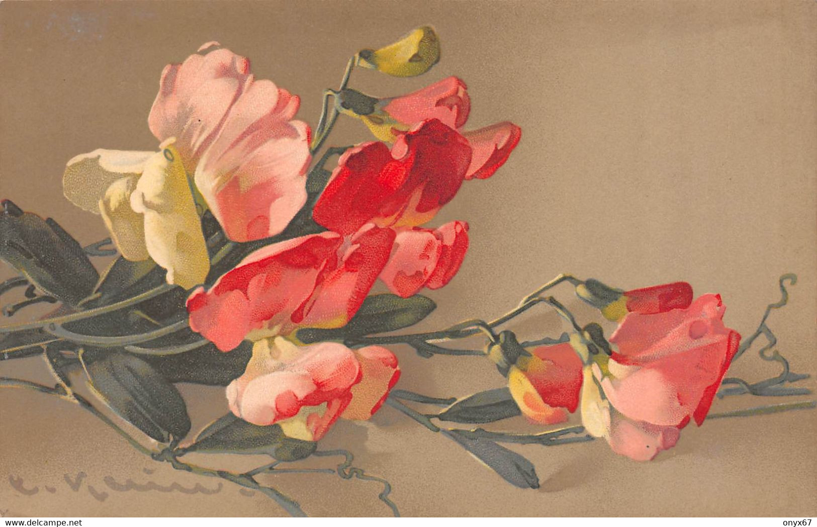 Carte Postale Fantaisie Catharina KLEIN - Fleur - Illustrateur - MB Série 1838 - Klein, Catharina