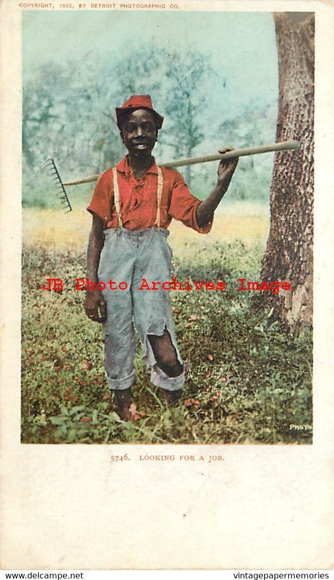 313589-Black Americana, Detroit Photographic No 5746, UDB, Looking For A Job - Black Americana