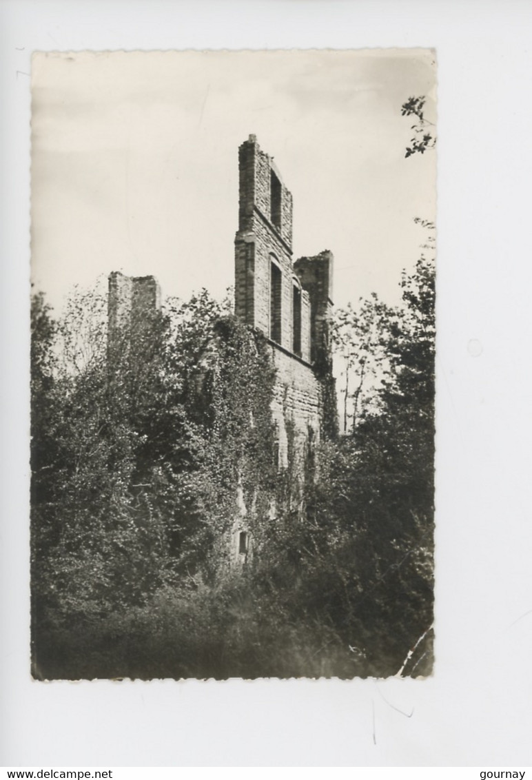 Viriville : Ruines Du Château Des Seigneurs De Grollée (n°10 Combier) - Viriville
