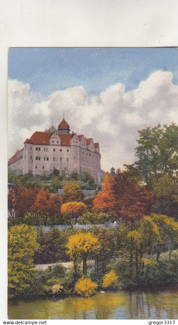 B8243) ZSCHOPAU - Schloß Zschopau - Photochromie ALT ! - Zschopau