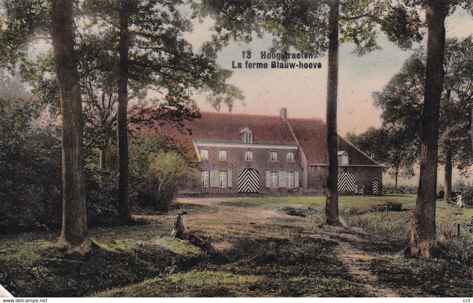 Hoogstraten   La Ferme Blauw-Hoeve - Hoogstraten