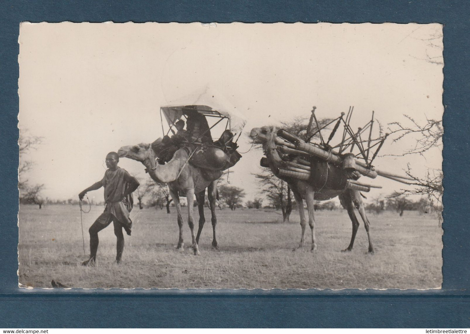 ⭐ Mauritanie - YT N° 163 Sur Carte Photo Souvenir De Mauritanie - 1963 ⭐ - Mauritania