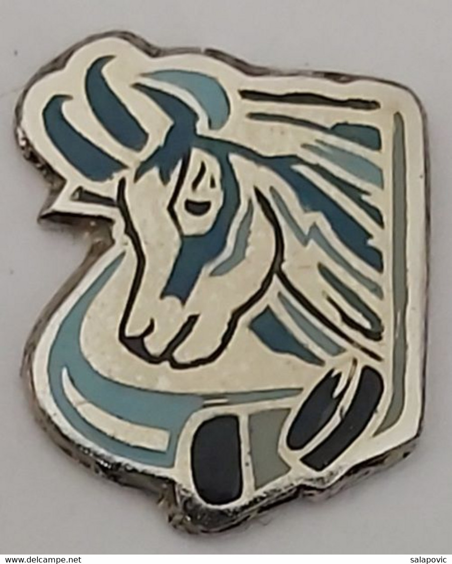 Dynamo Pardubice Ice Hockey Club Czech Republic  PINS A10/2 - Sports D'hiver