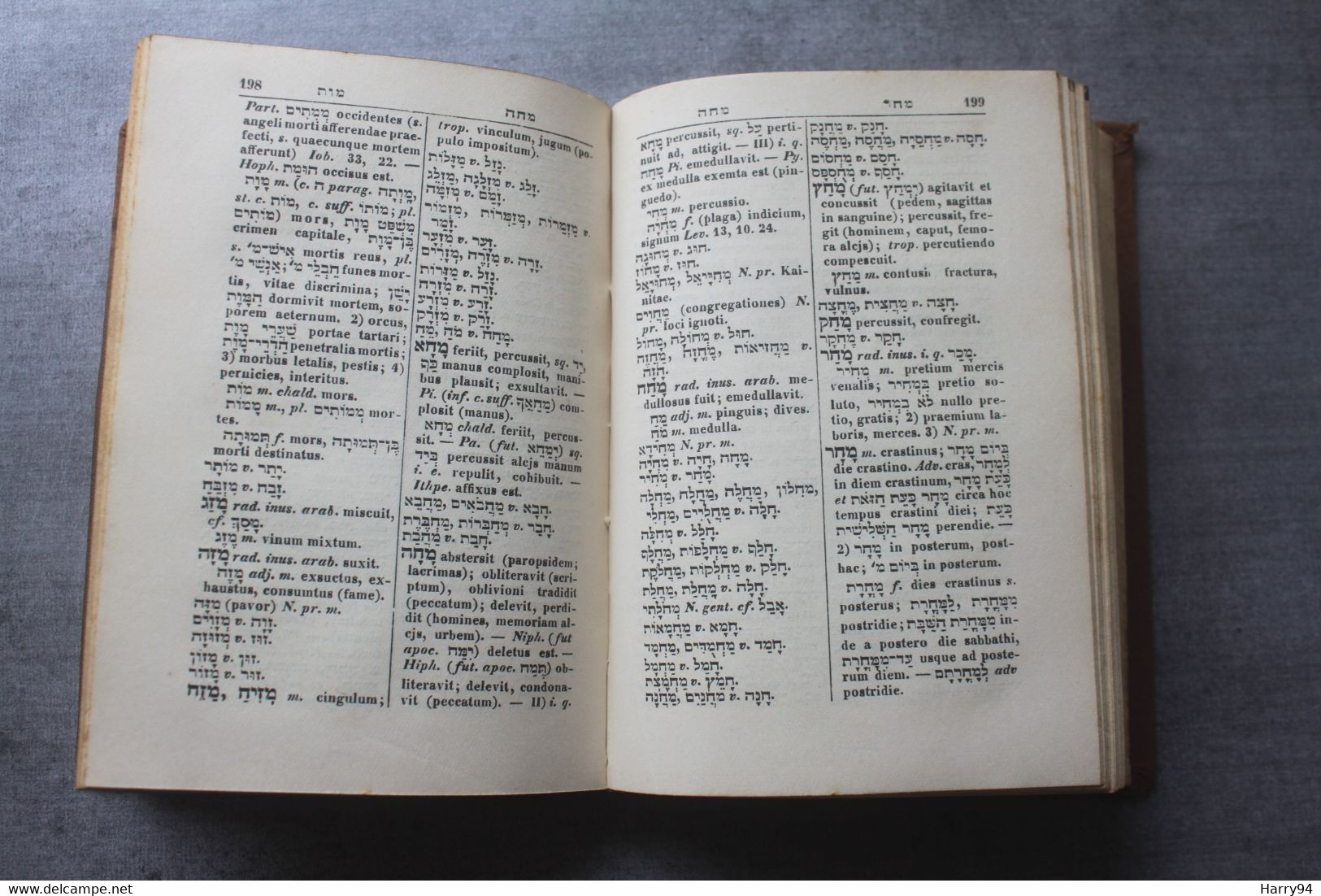 Lexicon Hebraïcum Et Chaldaicum  E.F Leopold - Livres Anciens