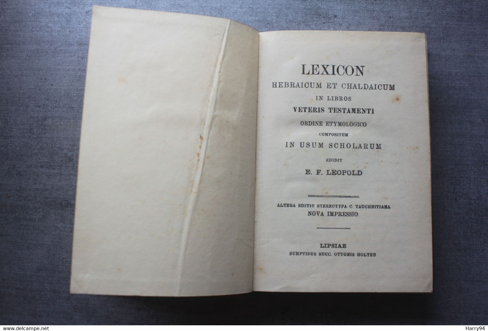 Lexicon Hebraïcum Et Chaldaicum  E.F Leopold - Livres Anciens
