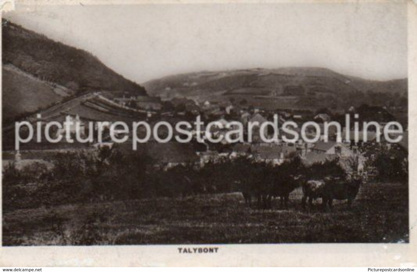 TALYBONT TAL-Y-BONT OLD R/P POSTCARD CARDIGANSHIRE WALES - Cardiganshire