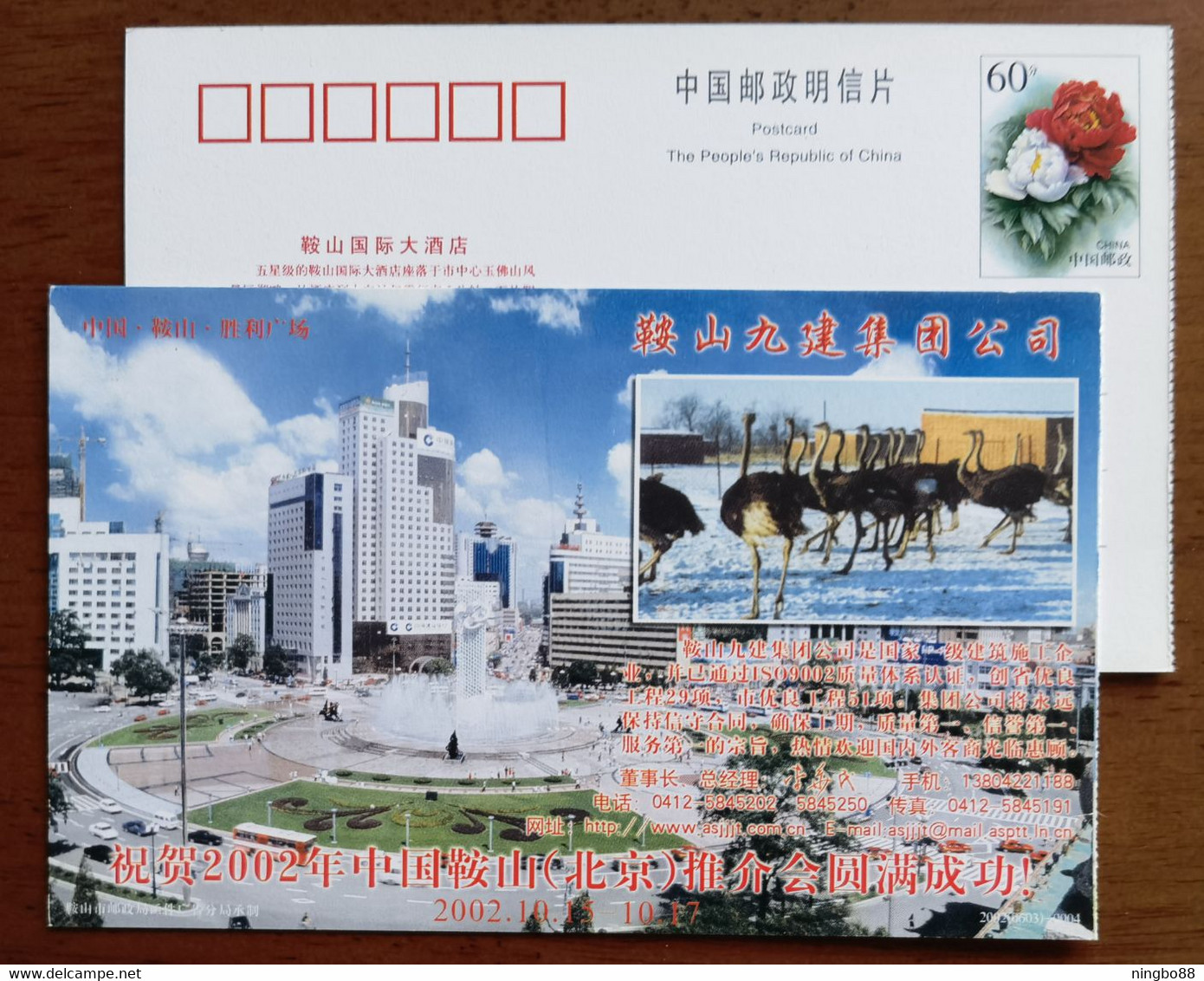 Ostrich Bird,Anshan Shengli Square,China 2002 Anshan Jiujian Company Advertising Pre-stamped Card - Avestruces