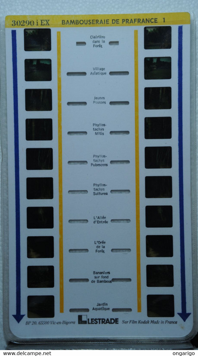 LESTRADE   :  30290  I  EX    BAMBOUSERAIE DE PRAFRANCE 1 - Visionneuses Stéréoscopiques
