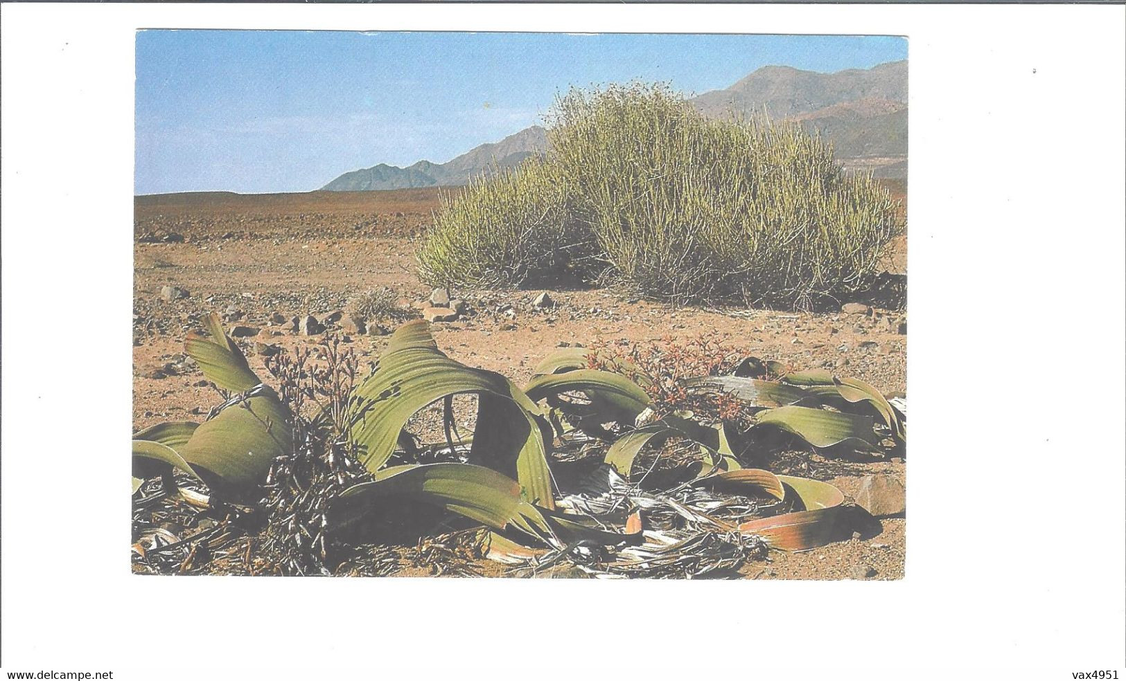 NAMIBIE SCENES OF NAMIBIA       ****  RARE       A  SAISIR **** - Namibië