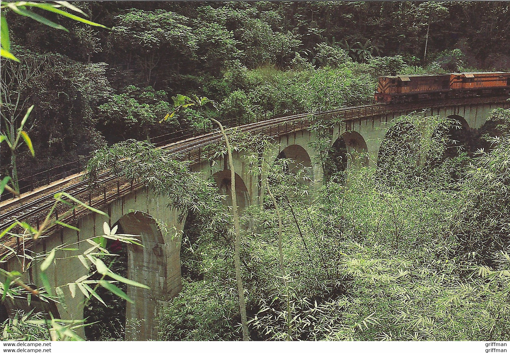 REPUBLIQUE POPULAIRE DU CONGO VIADUCS DANS LE MAYOMBE TBE - Congo Français