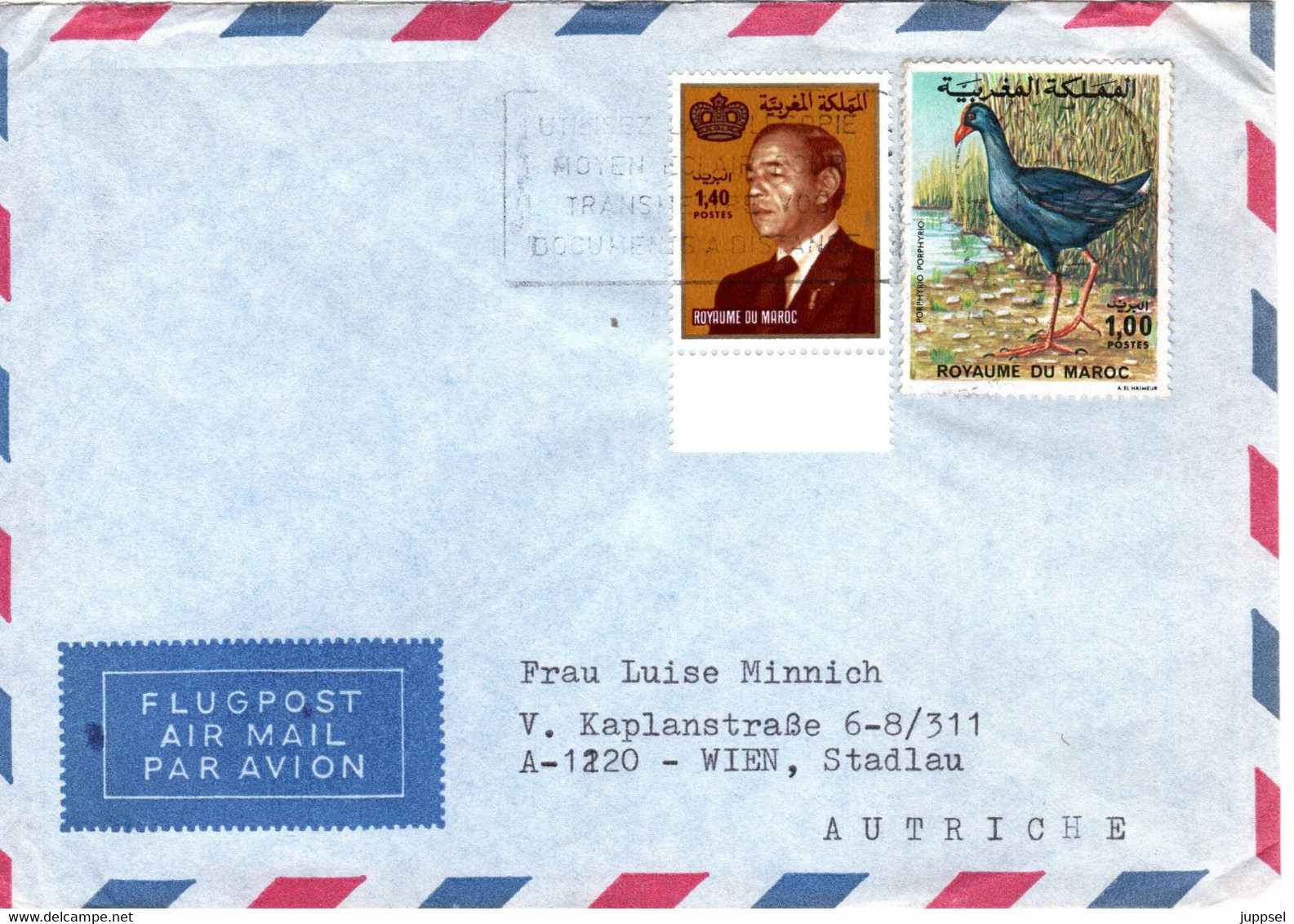 MOROCCO, Letter, Bird /  MAROC, Lettre, Oiseau - Autruches