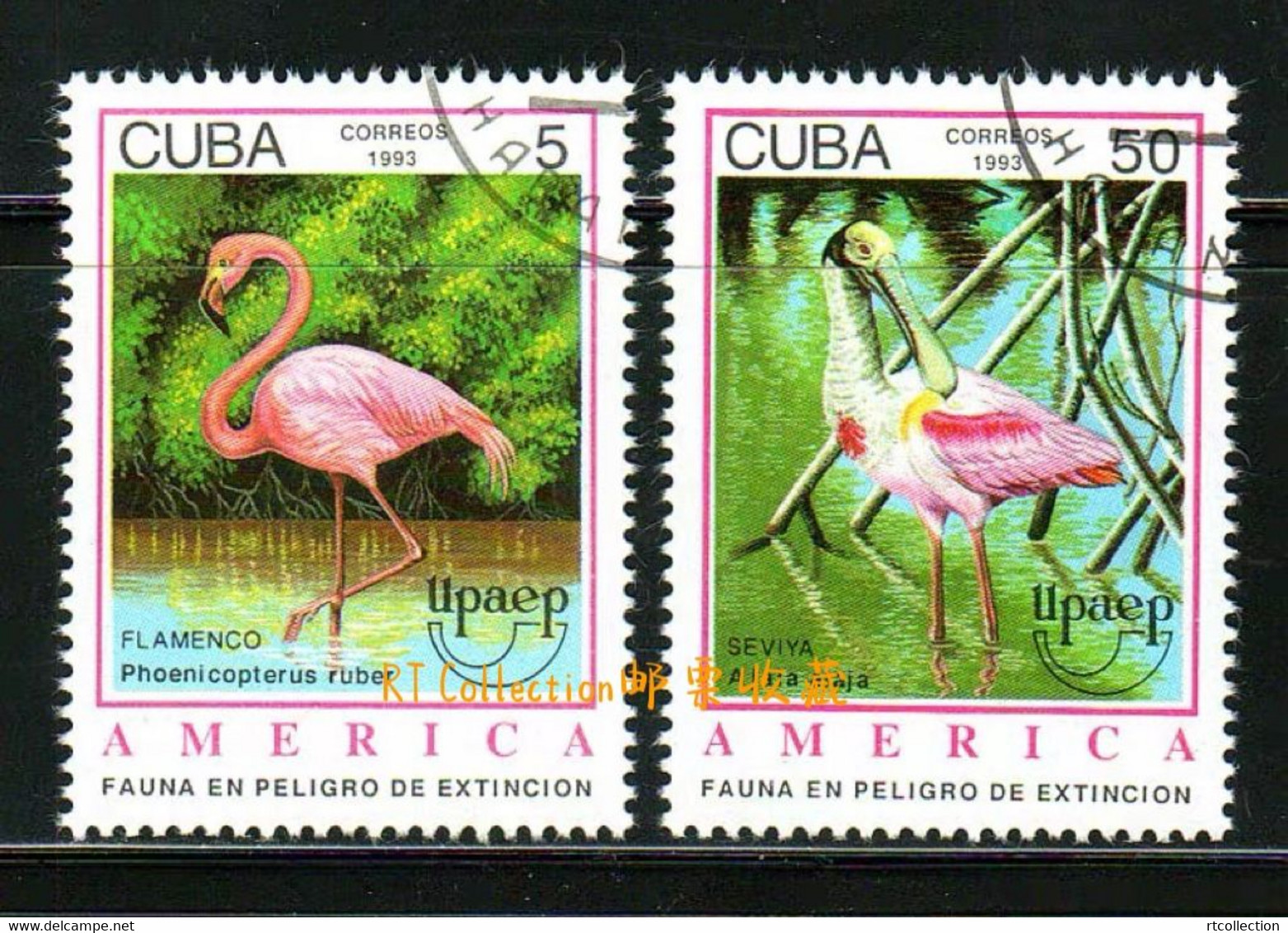 Cuba 1993 America Endangered Animals Animal Birds Bird Phoenicopterus Ruber Flamingos Flamingo Stamps USED - Gebruikt