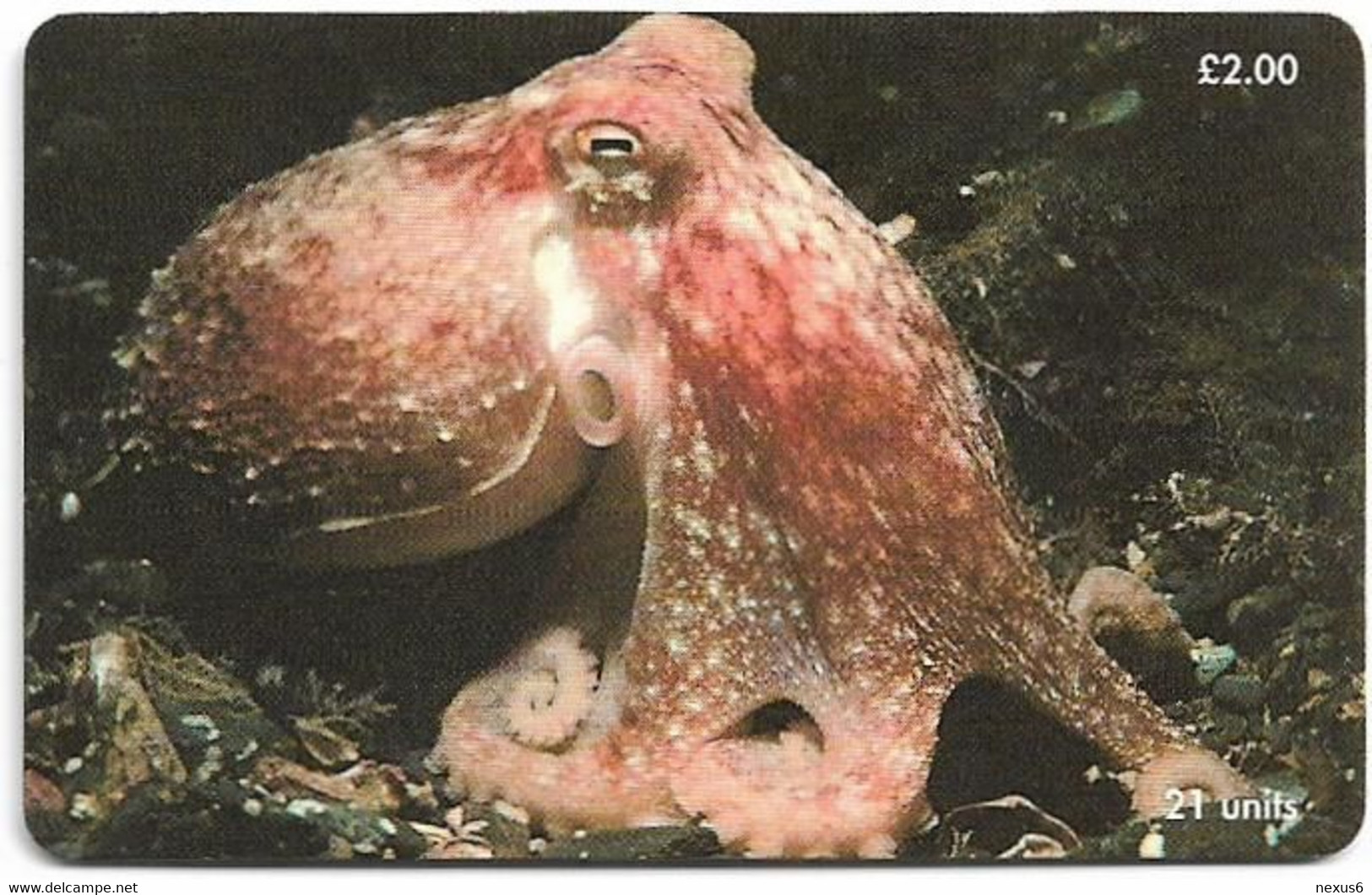 Isle Of Man - Chip - Marine Life - Curled Octopus - 21U, 2000, 20.000ex, Used - Man (Eiland)