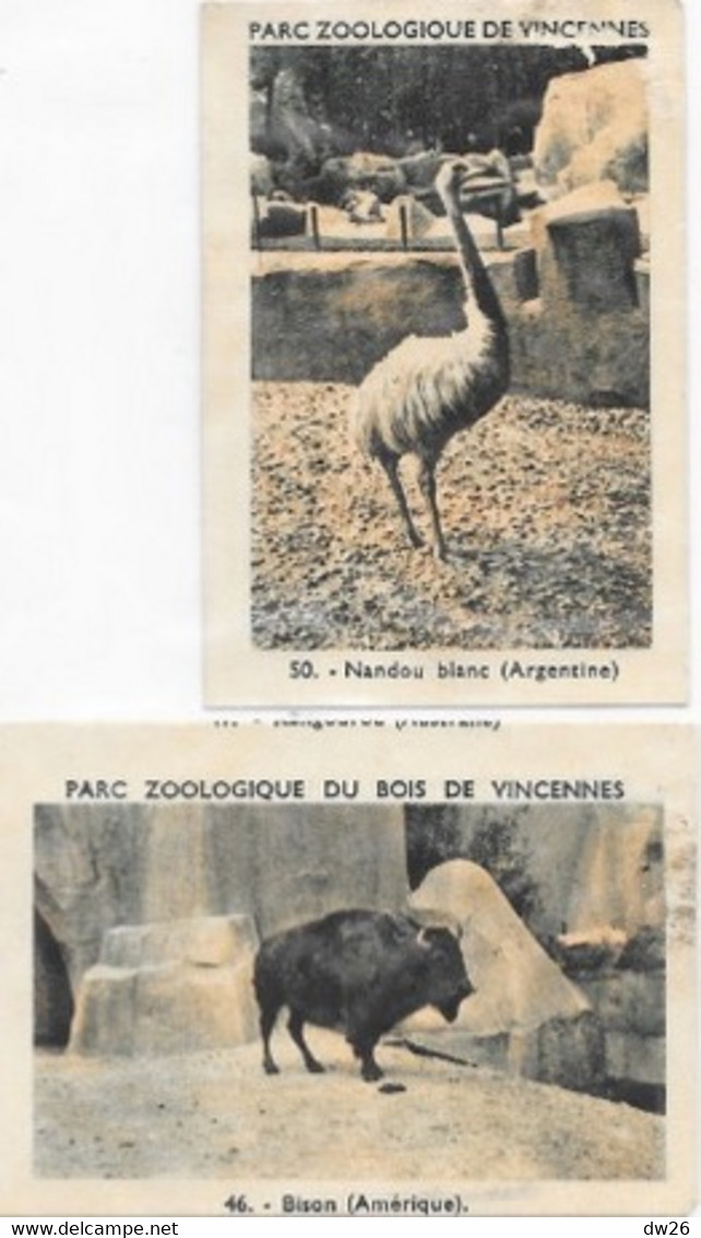 Lot De 2 Etiquettes Publicitaires Chicorée Leroux - Parc Zoologique De Vincennes (50 Nandou, 46 Bison) - Cafés Y Achicoria