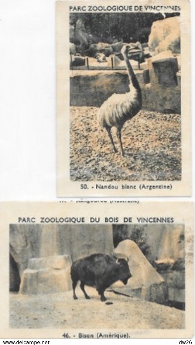 Lot De 2 Etiquettes Publicitaires Chicorée Leroux - Parc Zoologique De Vincennes (50 Nandou, 46 Bison) - Koffie & Koffiecichorei