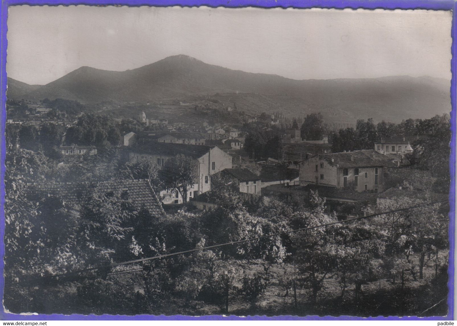 Carte Postale 34. Bédarieux  Et Le Pic De Tantajo   Très Beau Plan - Bedarieux