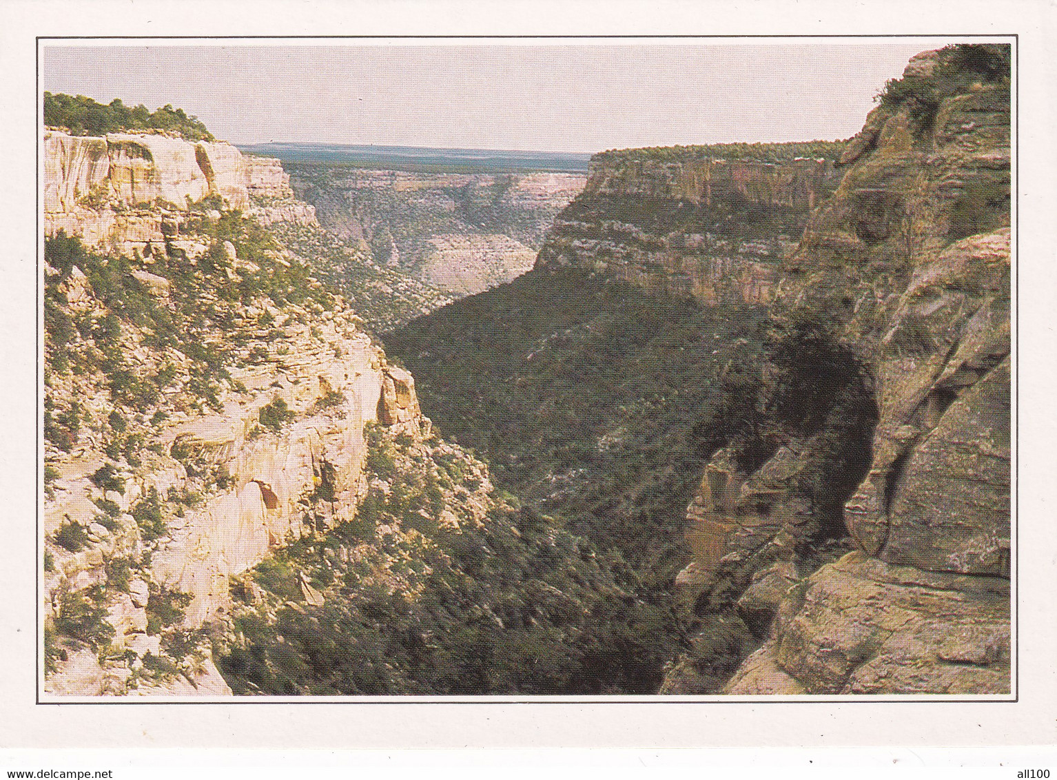 A19606 - COLORADO MESA VERDE NATIONAL PARK USA UNITED STATES OF AMERICA ETATS-UNIS LE PARC NATIONAL POST CARD UNUSED - Mesa Verde