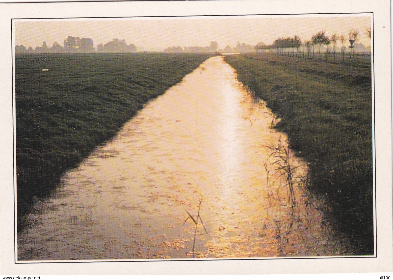 A19620 - FLEVOLAND POLDERS PAYS-BAS THE NETHERLANDS NEDERLAND HOLLANDE POST CARD UNUSED PHOTO SAUCEY - Autres & Non Classés