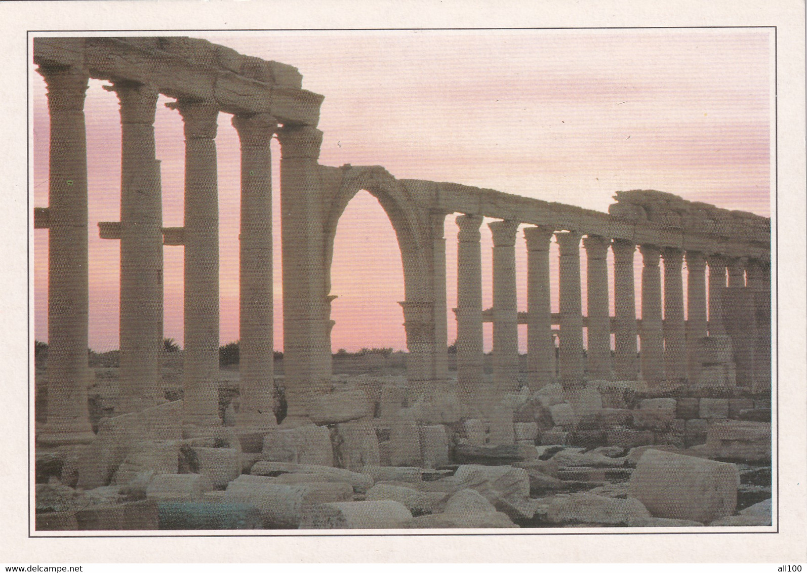 A19660 - LA GRANDE COLONNADE DE PALMYRE PALMYRA SYRIA SYRIE POST CARD UNUSED PHOTO SUZANNE HELD - Syrie