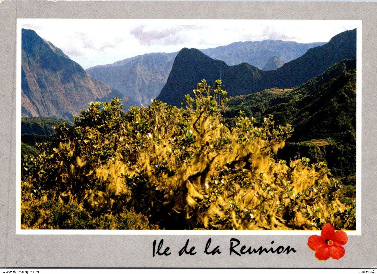 (2 L 50) France  Ile De La Réunion (posted To France 1994) - Riunione