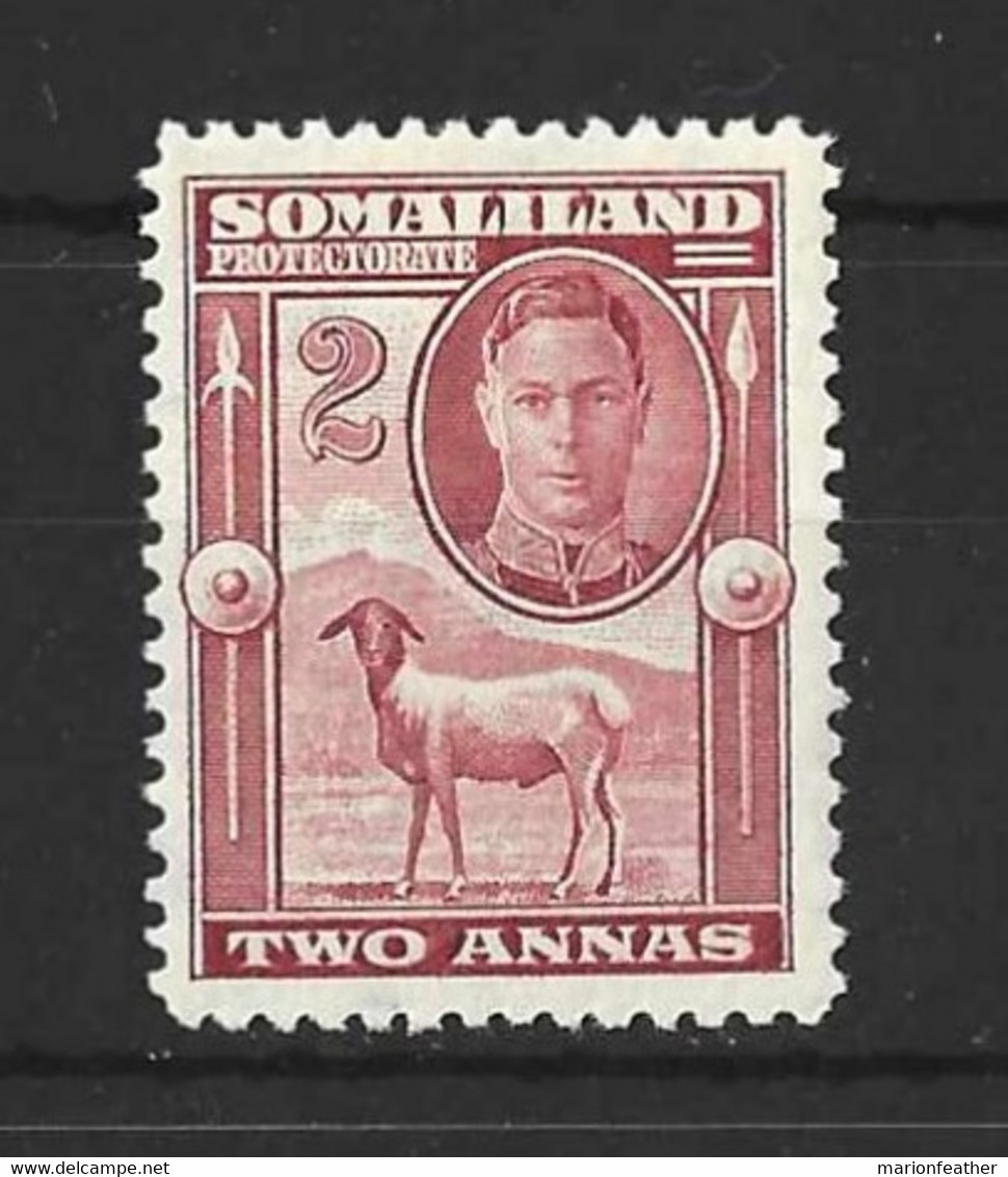 SOMALILAND Pro....KING GEORGE VI...(1936-52..)...." 1942..".....2as......SG107........MH...... - Somaliland (Protectorate ...-1959)