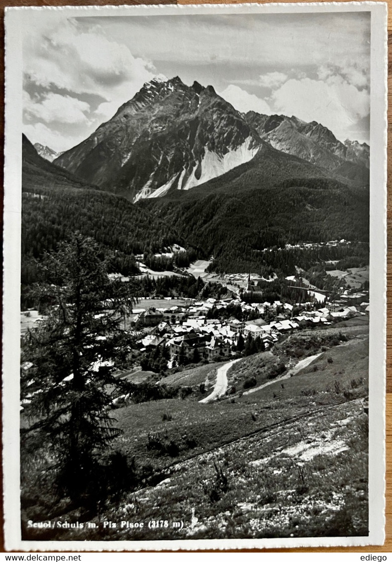 SCHULS - SCUOLS - PIZ PISOC 1950 - Scuol