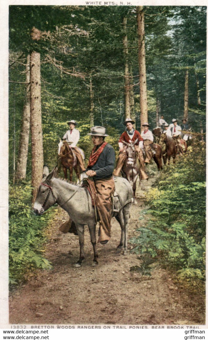 BRETTON WOODS RANGERS ON TRAIL PONIES BEAR BROOK TRAIL NH 1910 - White Mountains