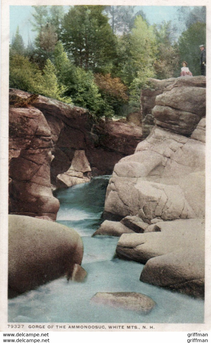 GORGE OF THE AMMONOOSUC  WHITE MOUNTAINS NH 1910 - White Mountains