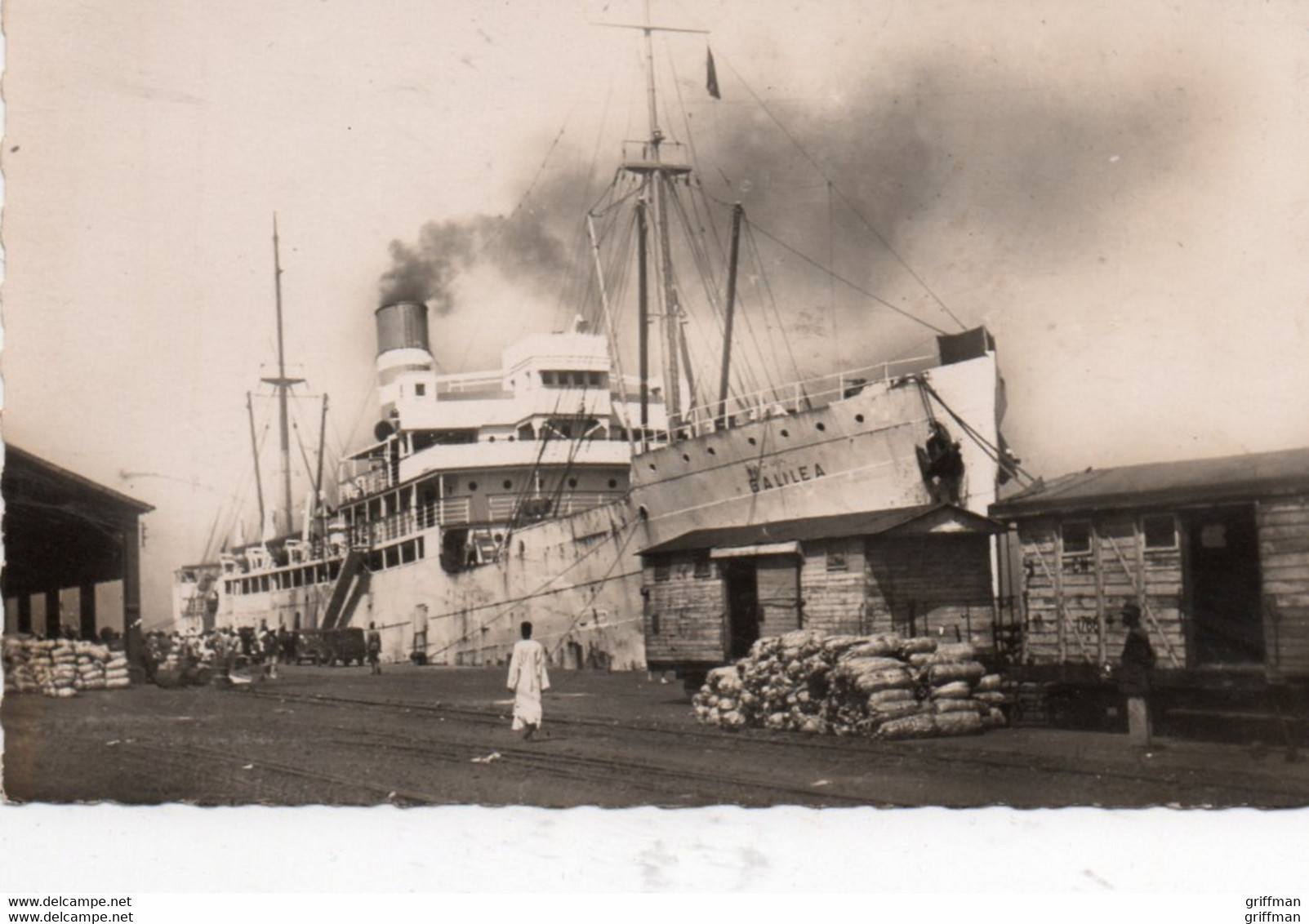 GUINEE FRANCAISE CONAKRY BANANIER "GALINEA" CPSM 9X14  TBE - Guinée Française