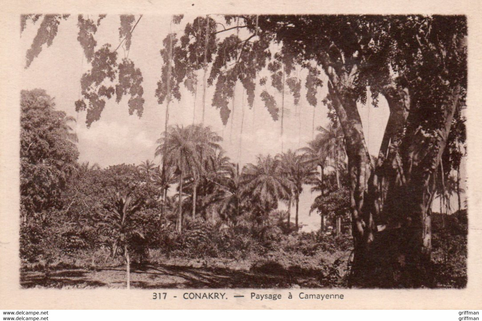 GUINEE FRANCAISE CONAKRY PAYSAGE A CAMAYENNE  TBE - Guinée Française