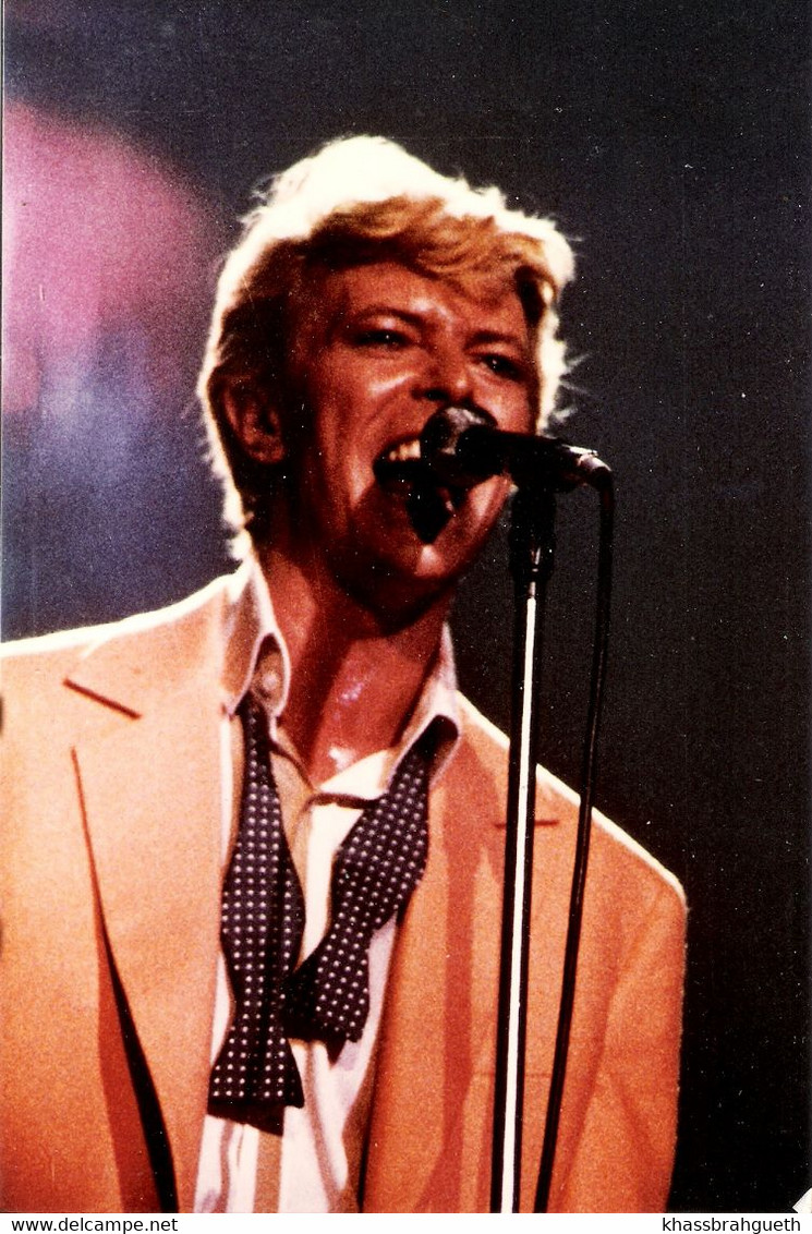 DAVID BOWIE - 2 PHOTOS SERIOUS MOONLIGHT TOUR - FOREST NATIONAL 17/18 MAI 1983 - Photos