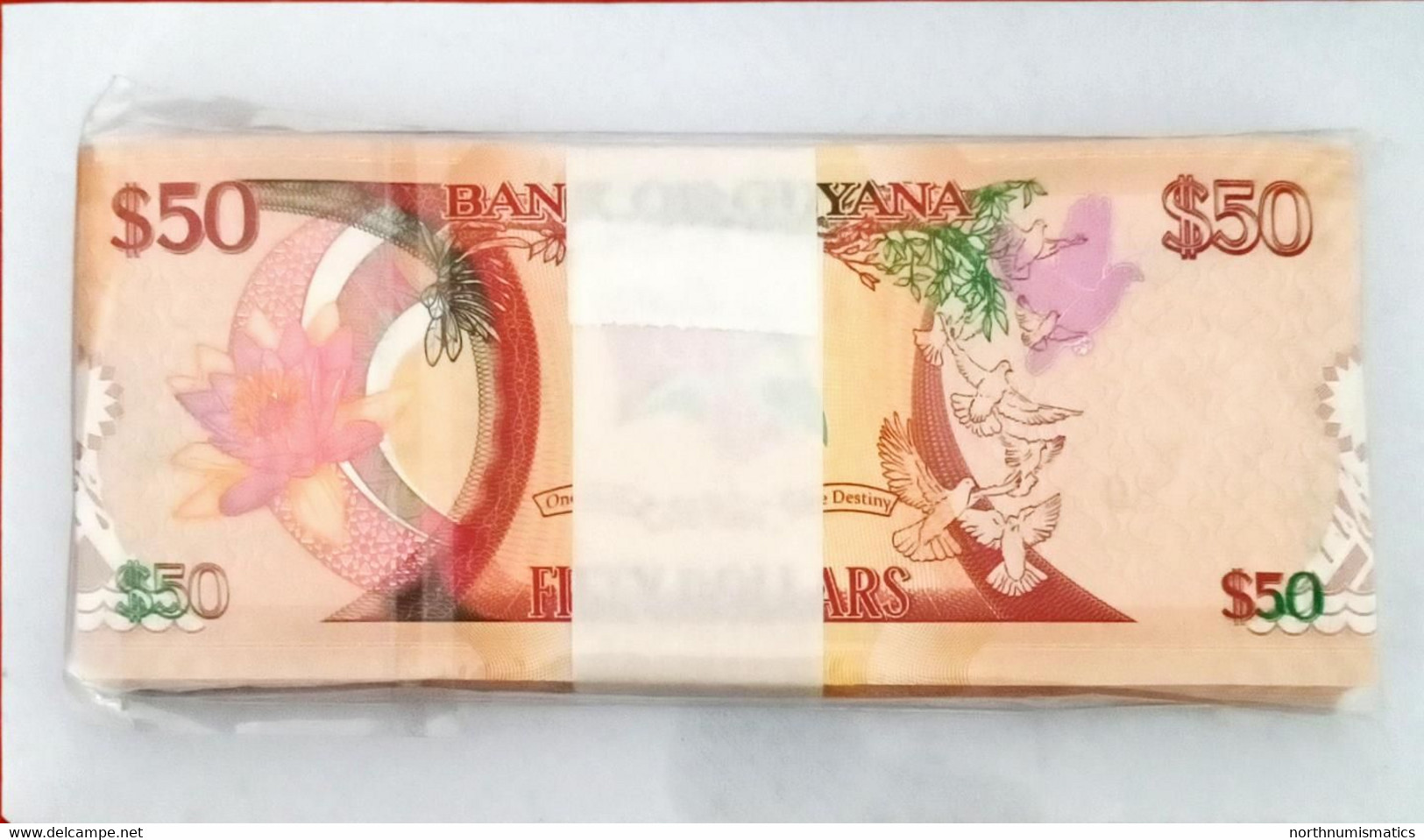 Guyana 50 Dollars 2016 Original Bundle 100 Pcs Unc - Guyana