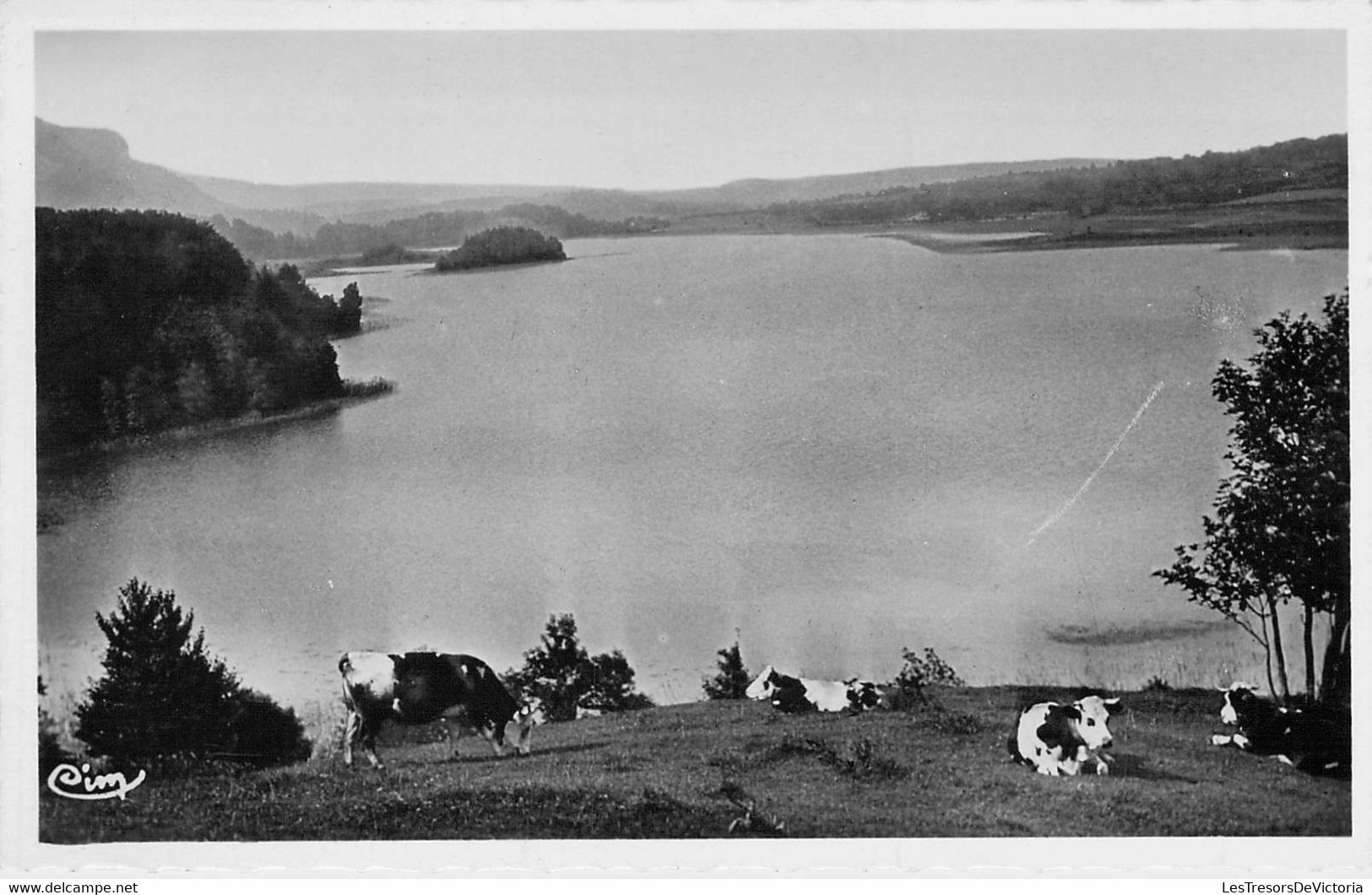 CPA France - 38 - LE FRASNOIS - Lac De NARLEY - Combier Impr - Vaches - CIM - Autres & Non Classés