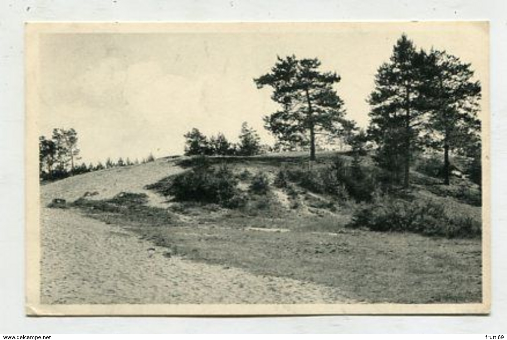 AK 084018 BELGIUM - Kasterlee - Duinen Bij De Hoge Mouw - Kasterlee