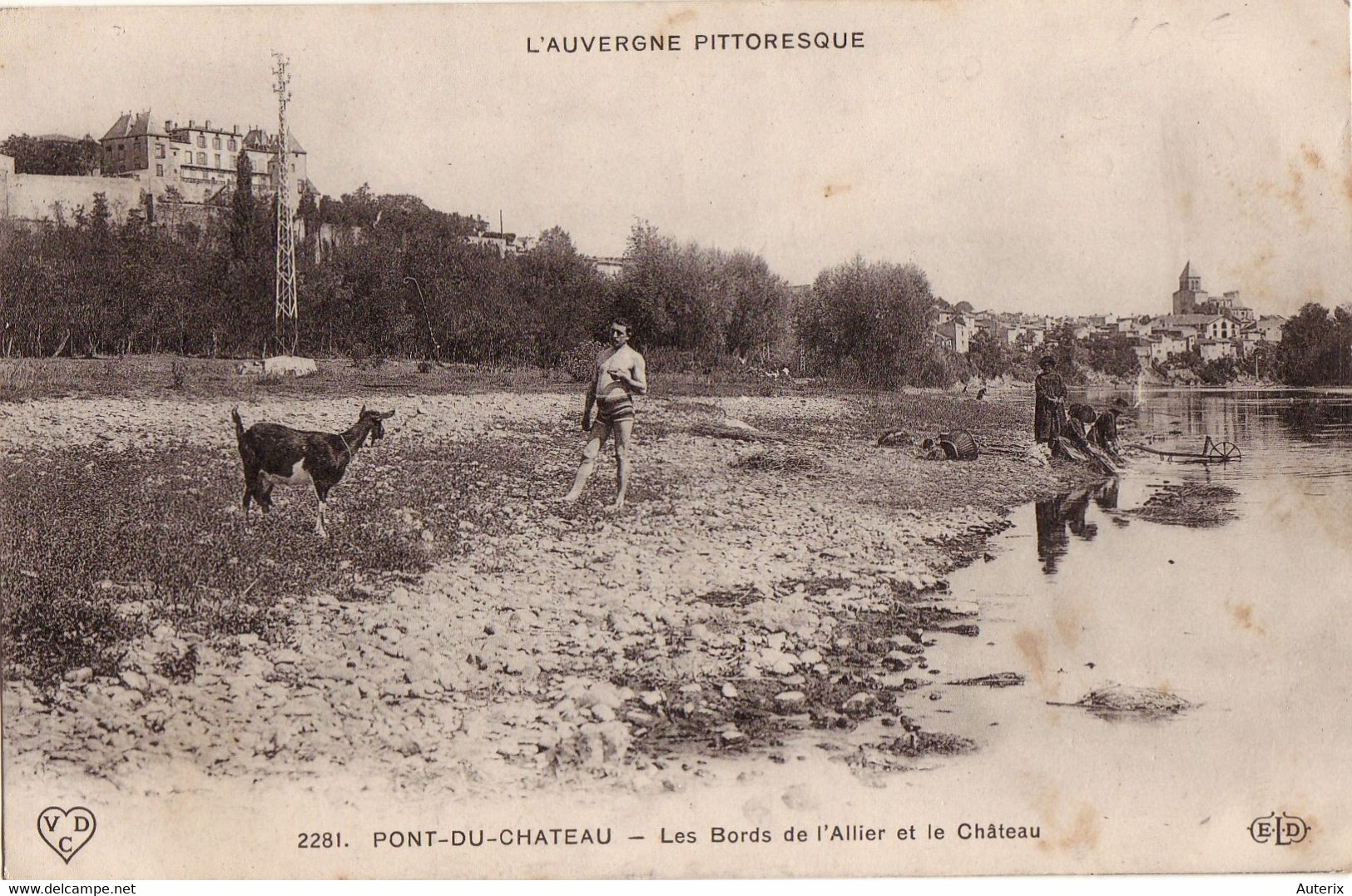 63 Auvergne Pittoresque Pont Du Chateau Bords Allier Et Chateau Baigneur Chevres Goat - Pont Du Chateau