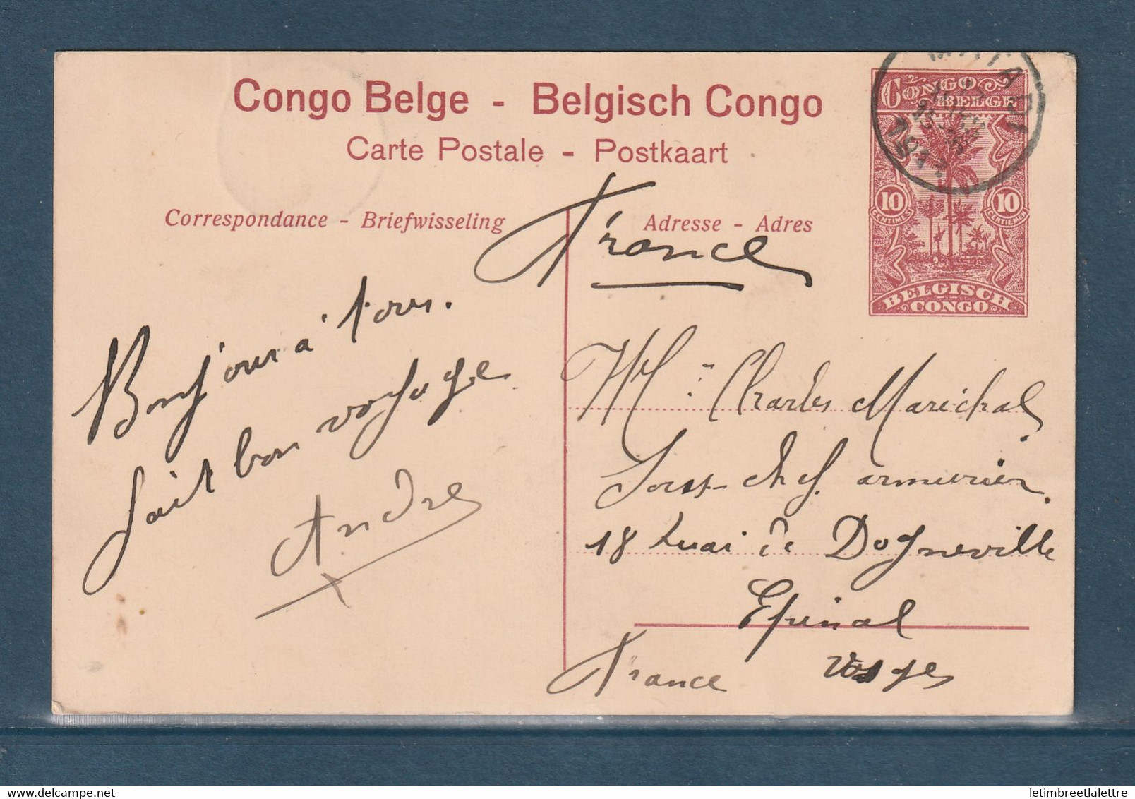 ⭐ Congo Belge - Entier Postal Carte Postale - Attaque D'une Termitière Sur La Nouvelle Route De Lukafu ⭐ - Stamped Stationery