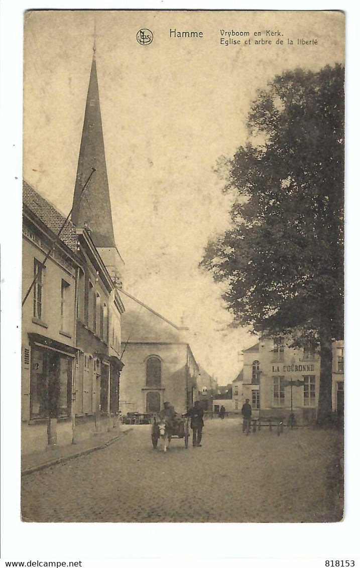 Hamme  Vryboom En Kerk   Eglise Et Arbre De La Liberté  (toestand Zie Scans) - Hamme