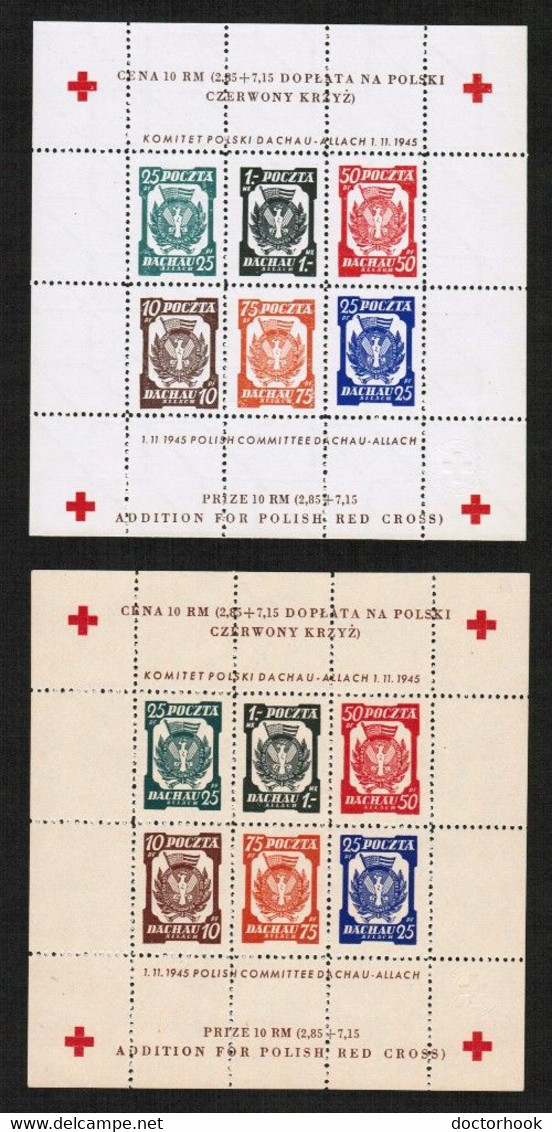 POLAND---Dachau   RED CROSS SHEETS Of  6 WATERMARKED & UNWATERMARKED MINT NH** (SS-659) - Campo De Prisioneros