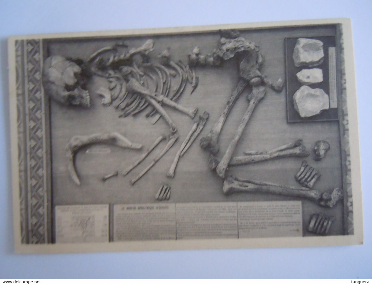 Bruxelles Musée D'historie Naturelle 19 Squelette D'un Mineur Néolithique Nels - Musées