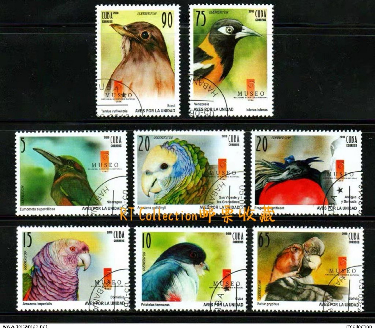 Cuba 2010 Animals Birds Fauna Parrots Nature Bird Of Prey Animal Parrot Fregata Magnificens Eagle Stamps USED - Gebruikt