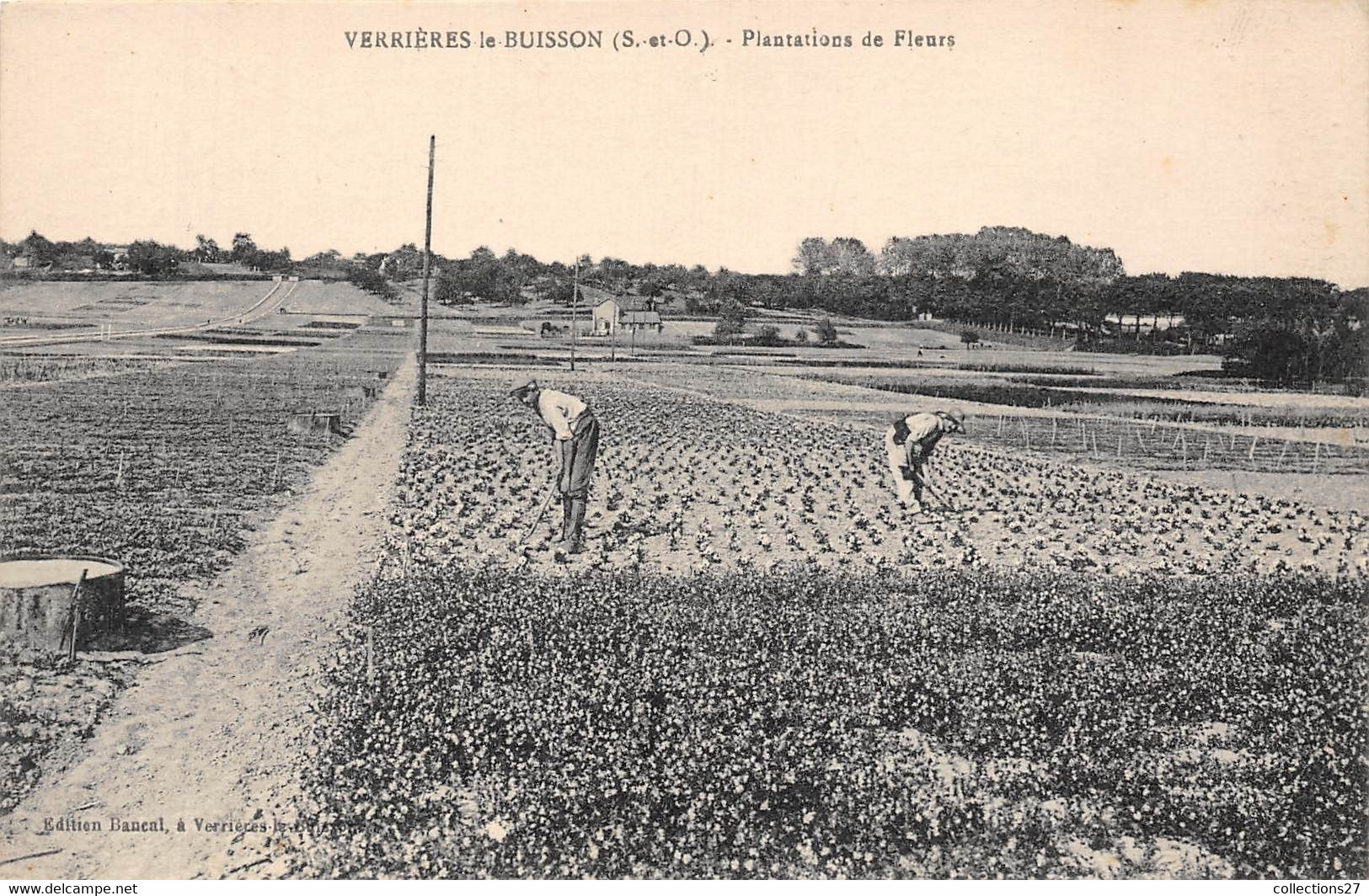 91-VERRIERES-LE-BUISSON - PLANTATIONS DE FLEURS - Verrieres Le Buisson