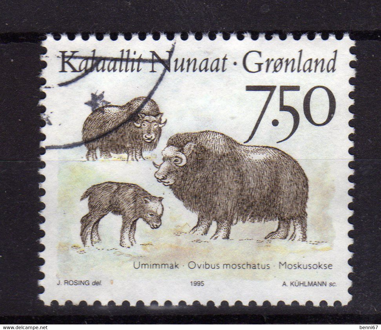 GROENLAND Greenland 1995 Boeuf Musqué Moskusokse  Yv 255 OBL - Usati
