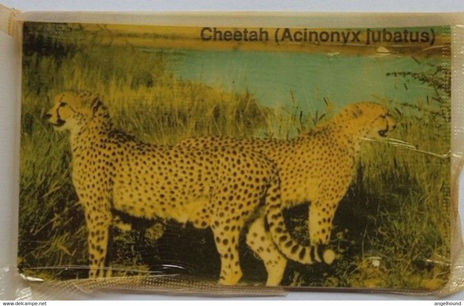 Namibia N$10 MINT " Blue Card - Cheetah - Namibia
