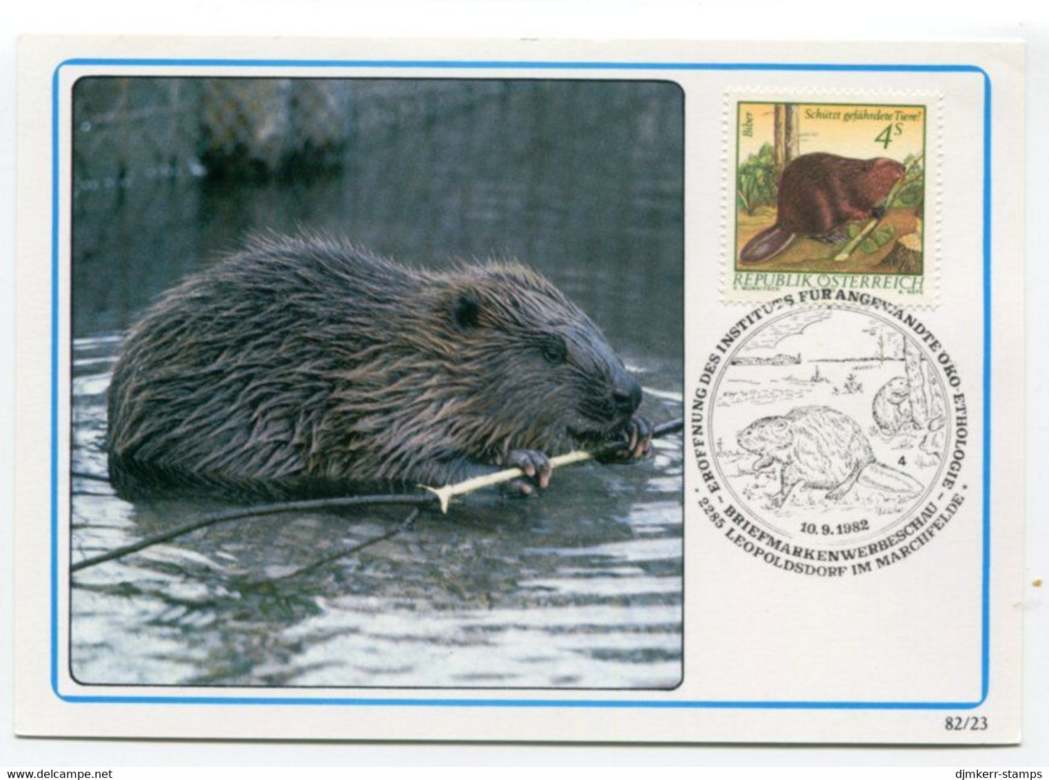 AUSTRIA 1982 Endangered Animals: Beaver On Maxicard.  Michel 1718 - Cartas Máxima
