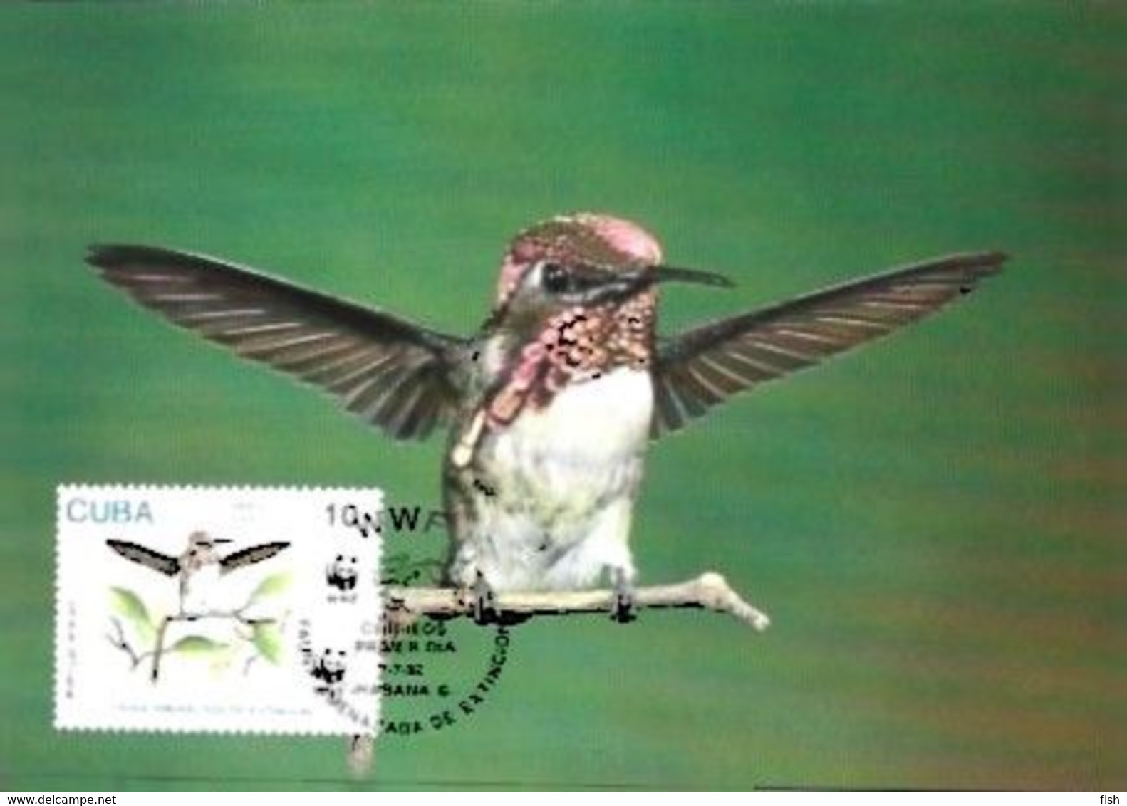 Cuba & Maximum Card, WWF,  Fauna En Peligro De Extinción, Colibri, Mellisuga Helenae, Habana 2005 (1787761) - Tarjetas – Máxima