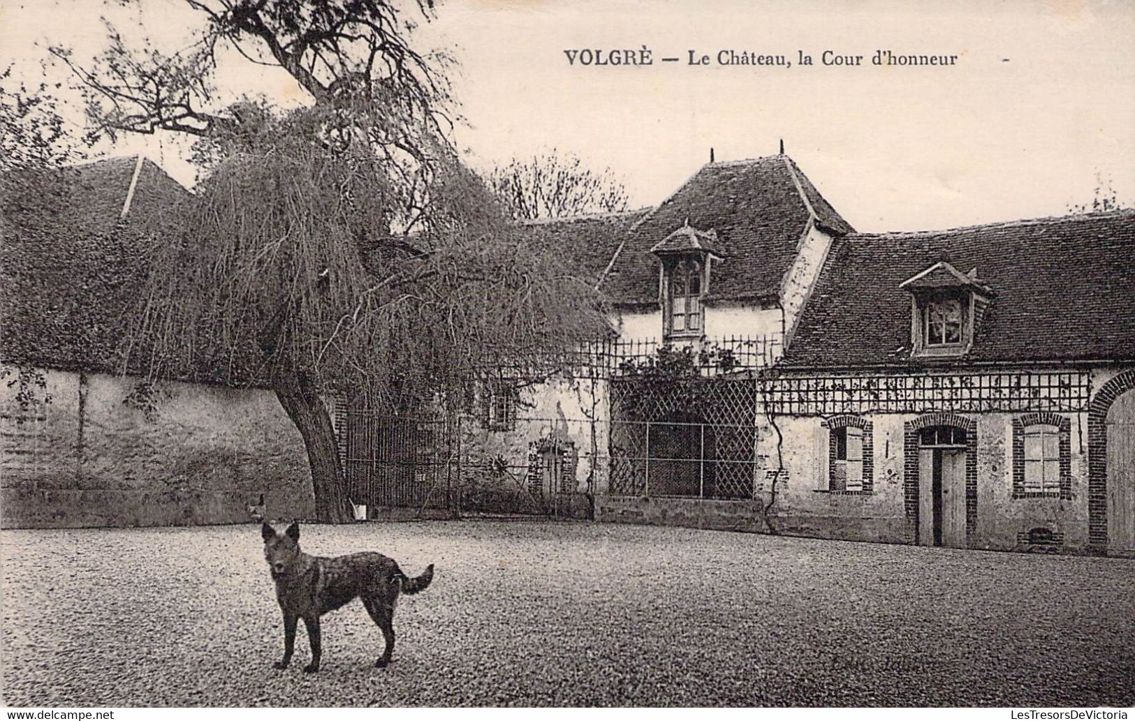 CP FRANCE - 89 - VOLGRE - Le Château - La Cour D'Honneur - Chien - Other & Unclassified