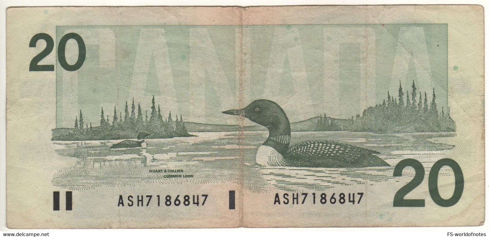 CANADA  $ 20 Dollars  P97b  1991 ( Queen Elizabeth II - Ducks Common Loon, At Back   Sign. Bonin-Thiessen) - Canada