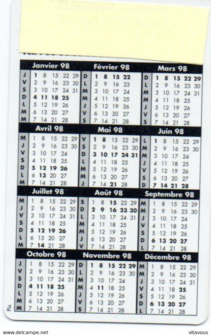 évasion Dauphin  Animal Poisson  Carte  Calendrier Calendar 1998 France  (salon 171) - Sonstige & Ohne Zuordnung