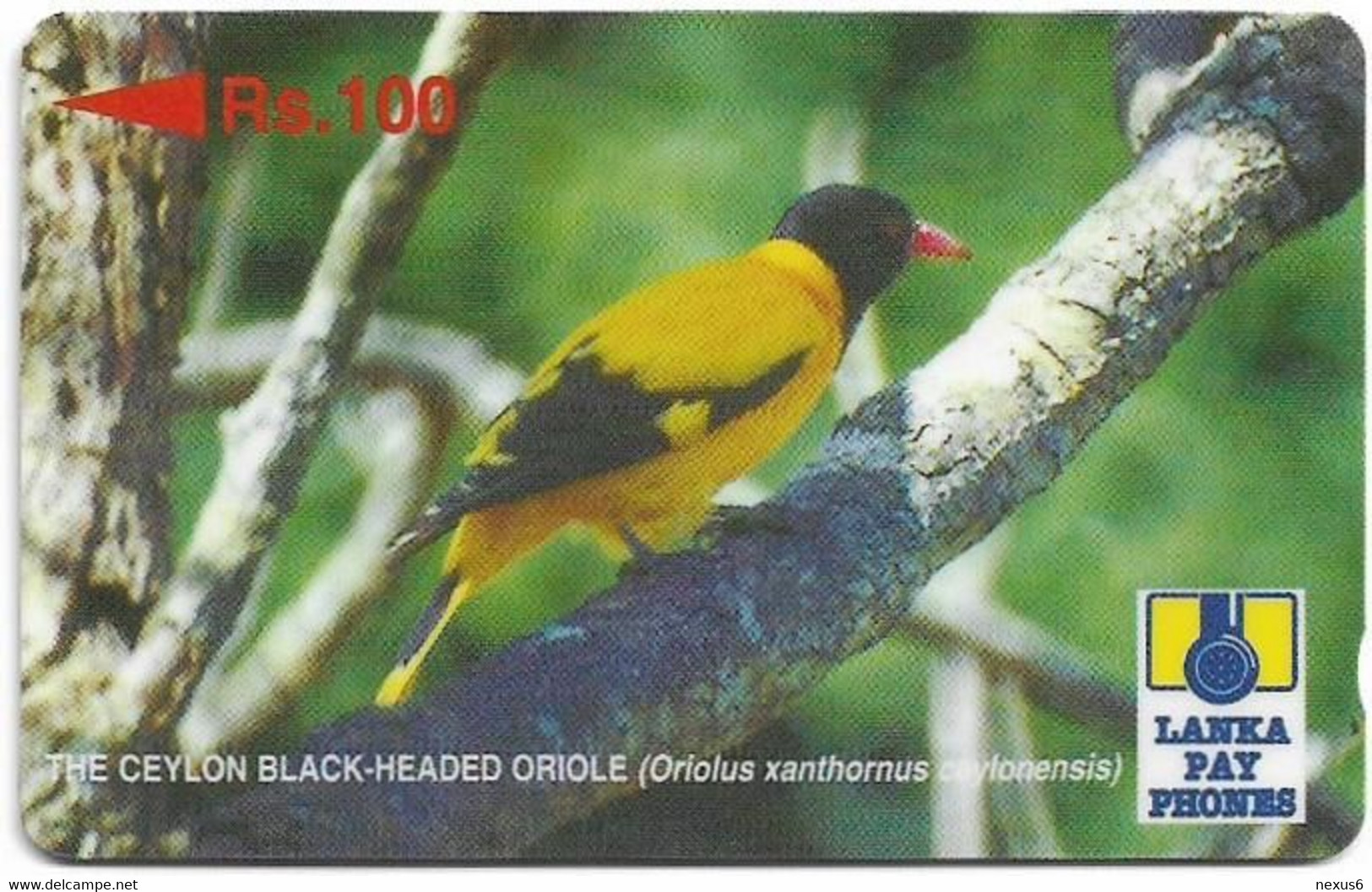 Sri Lanka - Lanka Pay Phones (GPT) - Black-Headed Oriole - 25SRLA - 100Rs, Used - Sri Lanka (Ceilán)