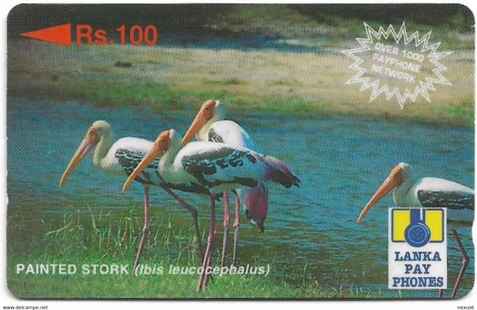 Sri Lanka - Lanka Pay Phones (GPT) - Painted Stork - 29SRLC - 100Rs, Used - Sri Lanka (Ceilán)